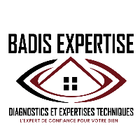 logo BADIS EXPERTISE Etat des lieux