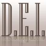 logo DEI Etat des lieux