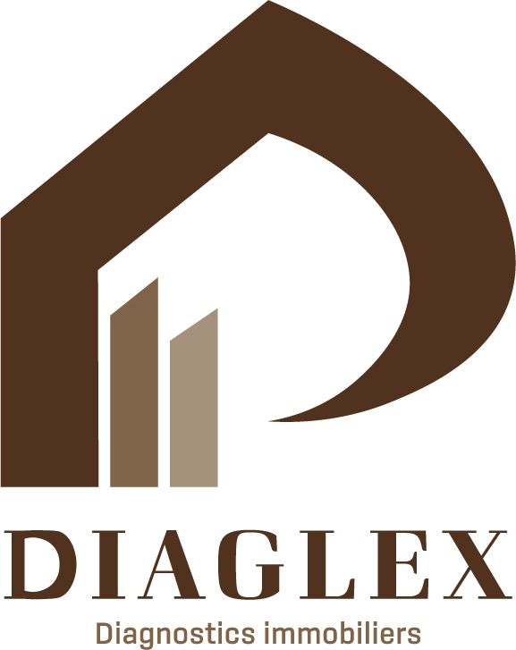 logo DIAGLEX Etat des lieux