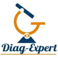 logo DIAG-EXPERT Etat des lieux
