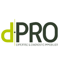 logo d.PRO Jonage Etat des lieux