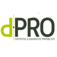 logo D.PRO NIMES Etat des lieux