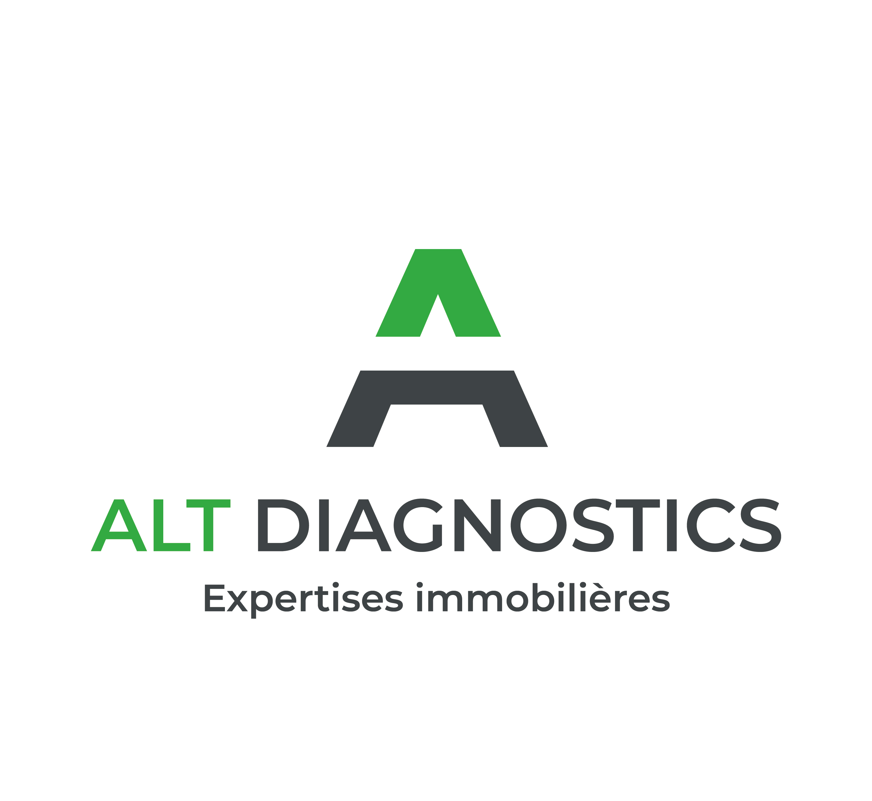 logo ALT DIAGNOSTICS Etat des lieux