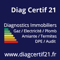 logo Diag Certif 21  Etat des lieux