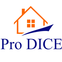 logo Pro DICE Etat des lieux