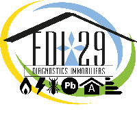 logo FDI 29 Etat des lieux