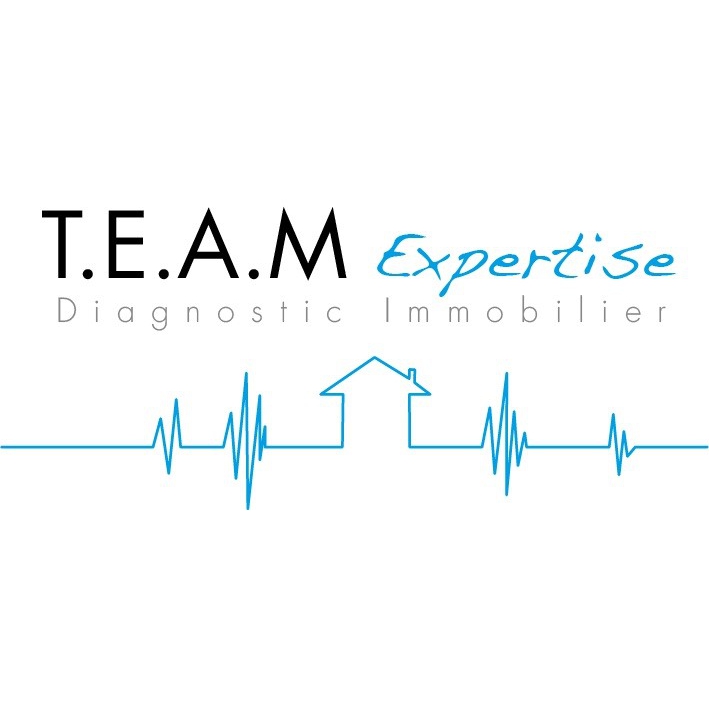 logo TEAM EXPERTISE Etat des lieux