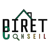 Etat des lieux DIRET CONSEIL